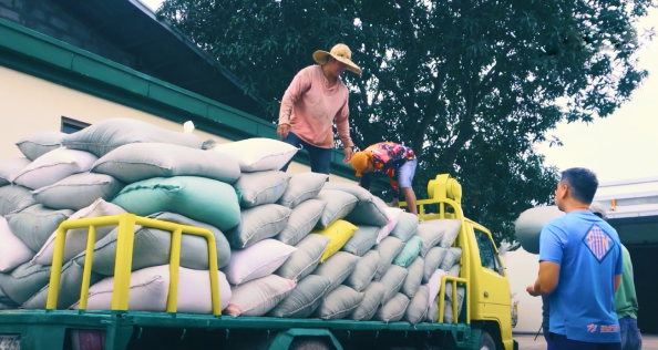 Watch: A rice milling company was able to compete with imported rice with the help of renewable energy